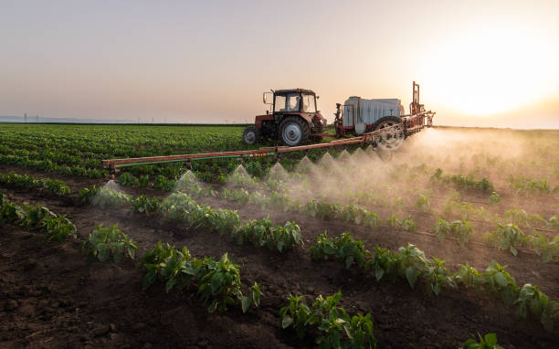 Best Best Pest Control Companies  in Clinton, MS