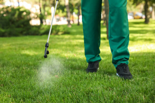 Best Mosquito Control Services  in Clinton, MS