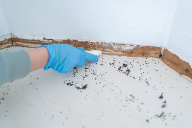 Best Residential Pest Control  in Clinton, MS