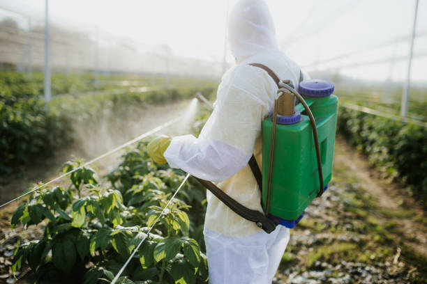 Reliable Clinton, MS Pest Control Solutions